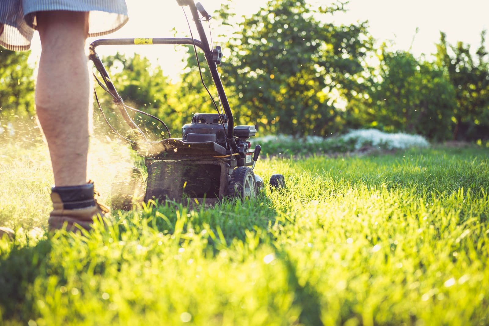 Lawn mower cutting grass on a sunny day